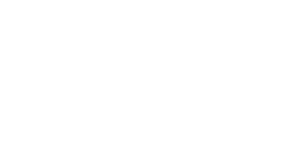 Lion Circuits